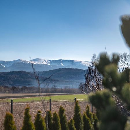 Domki W Karkonoszach Szmaragdowy Widok Wojcieszyce Exteriér fotografie